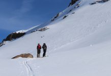 Backcountry | Conviértete en un mejor compañero de ski