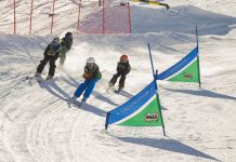 Circuito Bichos | Nuevas Fechas en Valle Nevado