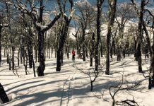 La montaña con otros ojos