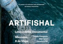 Patagonia estrena en Chile “Artifishal”, el documental que muestra el devastador daño ambiental que genera la industria salmonera en el mundo