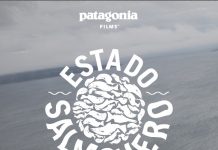 Seis documentales online que invitan a cuidar nuestros entornos