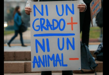 Conoce la campaña Patagonia en apoyo a activistas que luchan contra el cambio climático