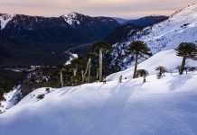 The North Face pone a disposición sus mejores documentales con estrenos exclusivos