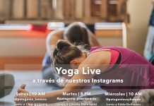 Yoga, charlas y documentales: la ecuación saludable y sustentable para la cuarentena