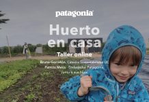 ¡Manos a la tierra! En el Día del Niño aprende a hacer un huerto en casa