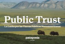 Documentales que piden la protección de territorios serán parte de Festival Santiago Wild