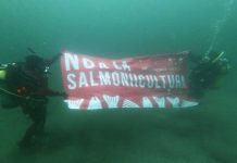 Contracorriente, el documental que cuenta la historia detrás del salmón de Argentina y que busca crear una ley que prohíba la salmonicultura