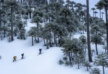 ABRIENDO RUTA HACIA LA PROFESIONALIZACIÓN DEL GUIADO DE MONTAÑA EN CHILE