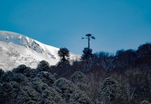 Trazando Huellas Blancas: La Fundación Chilesquía y su Compromiso con la Inclusión y el Desarrollo en las Comunidades Cordilleranas de Chile