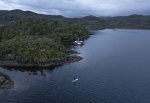 Patagonia estrena “Corazón Salado”, un documental que invita a conectar desde el mar